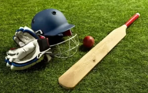 Cricline Prediction