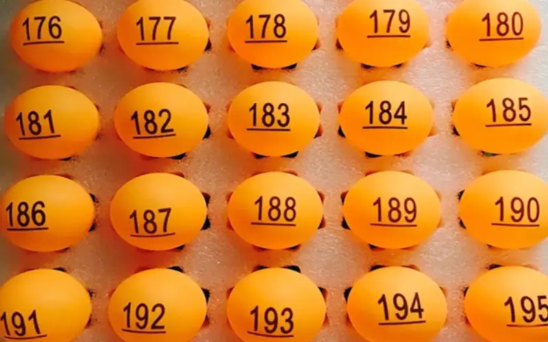 Bodoland Lottery Live